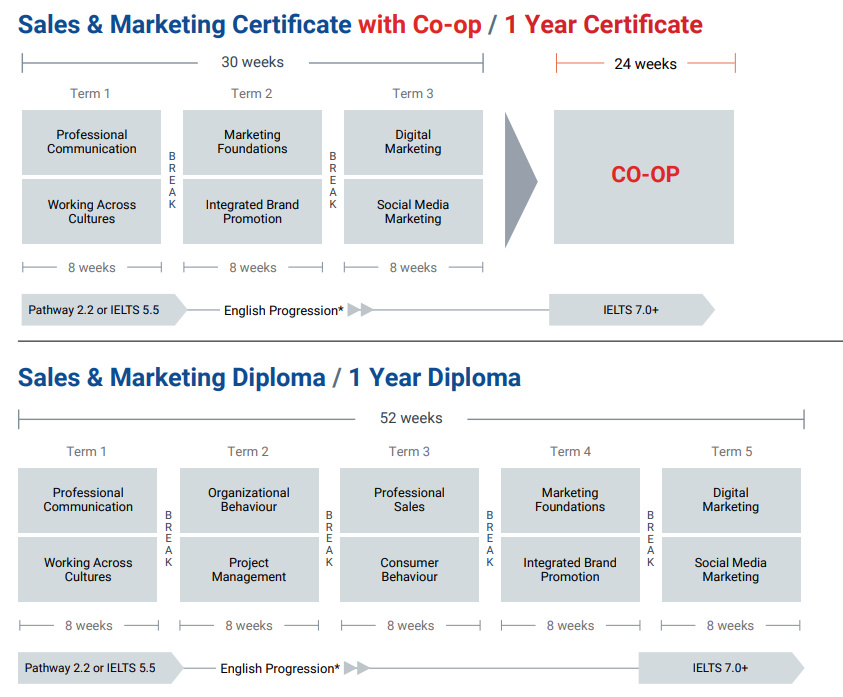 tamwood 課程範例