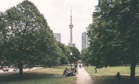 多倫多大學3